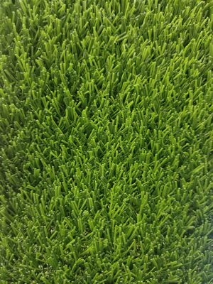 25 mm Non-Fill Green Artificial Grass PP+PP Support PE Matériau Petit sable besoin de trous de drainage Tribunaux de football Stades Pas besoin de caoutchouc