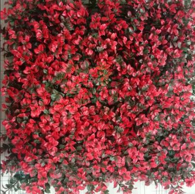 qualité  Artificial Wall Grass Natural Looking Low Maintenance Solution For Indoor Outdoor Spaces usine