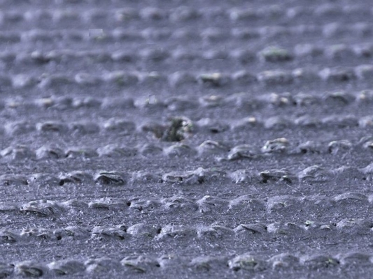 Gazon artificiel vert personnalisé pour paysage avec hauteur de pile de 38 mm et Dtex 8000