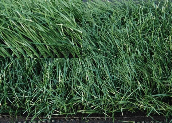 60 mm d'herbe synthétique de balcon 140 points/m d'herbe verte fausse de 5/8" de largeur