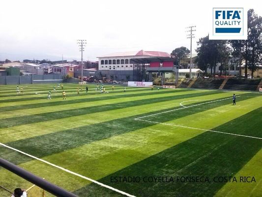 Céréales artificielles de haute densité de 55 mm certifiées par la FIFA pour les terrains de football à faible entretien