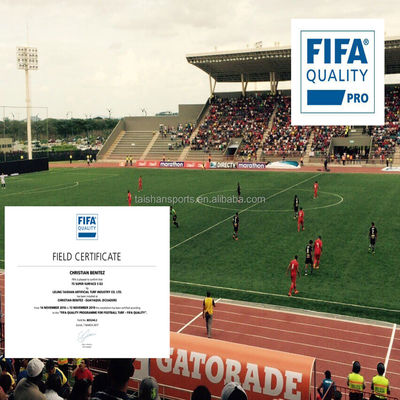 Gazon artificiel de football vert avec support PP+LENO de calibre 5/8" et revêtement en latex SBR