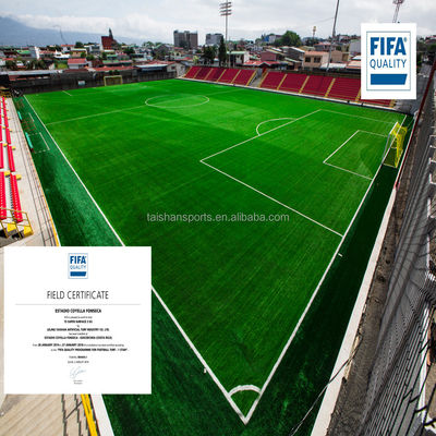 Gazon artificiel de football vert avec support PP+LENO de calibre 5/8" et revêtement en latex SBR