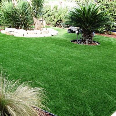 30mm Gazon Synthétique Vert de Loisir Utilisé pour les Zones pour Animaux ou les Jardins sur Toit avec Résistance aux UV et Bonne Élasticité