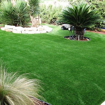 Multicolore Pas de remplissage Herbe synthétique 30 mm Protection de l'environnement Installation simple Faible entretien