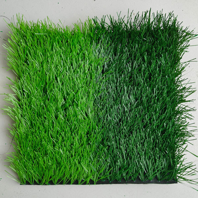 Du gazon artificiel bicolore de football 50 mm pour la protection de l'environnement sur les terrains de sport avec du latex vert SBR