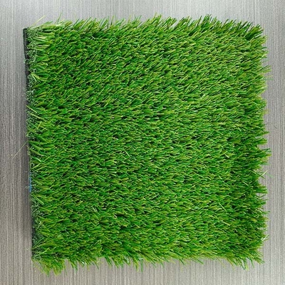 14600 Dtex Excellente résistance aux UV Faible entretien Céréales artificielles vertes avec support en latex SBR noir ou vert