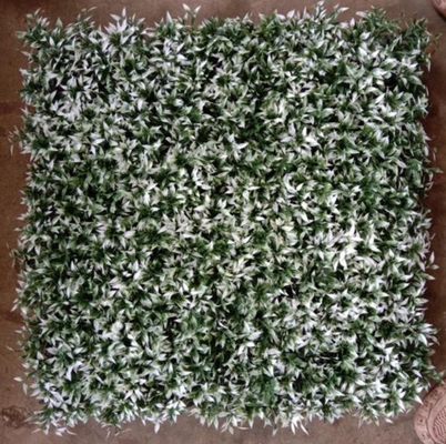 L'herbe artificielle pour les murs pour élever l'esthétique de votre bâtiment avec 50cm*50cm de taille La solution externe parfaite