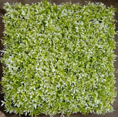 Matériau PE de l'herbe de mur artificiel personnalisable pour la prévention de la poussière et de la saleté dans les espaces intérieurs et extérieurs