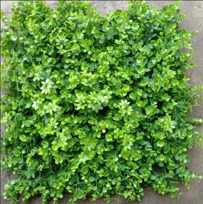 L'herbe artificielle pour les murs améliore l'attrait esthétique des bureaux, des maisons, des cafés et des restaurants.