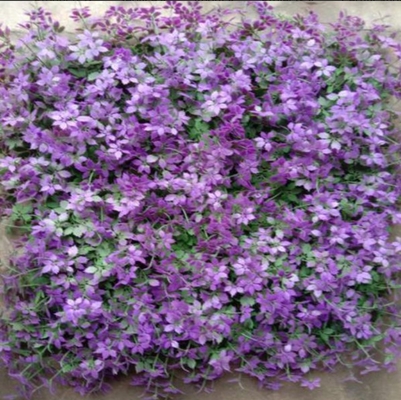 50cm*50cm Taille Herbe artificielle pour murs Forte durabilité Drainage rapide Pour la décoration et l'embellissement