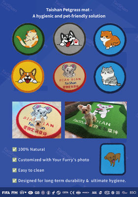 Couleurs personnalisables résistantes aux UV Herbe artificielle pour jardins d'enfants et animaux de compagnie à faible entretien
