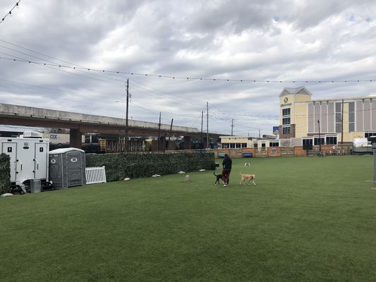 42 mm de hauteur de pile Herbe artificielle avec une apparence réaliste et peu d'entretien pour les jardins et l'aménagement paysager