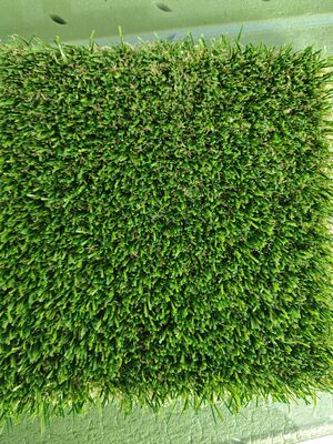 Herbe artificielle sans remplissage avec hauteur de pile de 30 mm et colle de latex transparent pour gazon sportif 12400 Dtex Faible entretien
