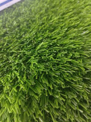 25 mm Non-Fill Green Artificial Grass PP+PP Support PE Matériau Petit sable besoin de trous de drainage Tribunaux de football Stades Pas besoin de caoutchouc