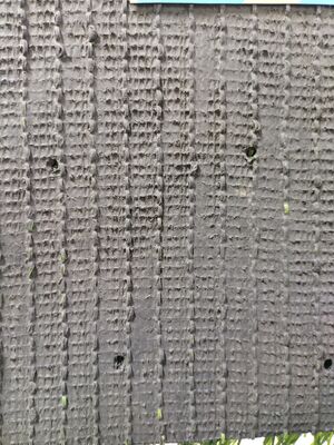 Hauteur de pile 40 mm Résistance aux UV Certifié FIFA Football Gazon artificiel pour les terrains de sport et les stades