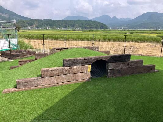 40mm Pile Height High Density Multicolor Synthetic Leisure Grass for Backyards and Gardens