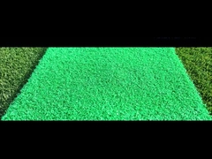 Taishan Nylon Nouveaux Produits