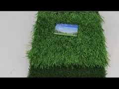 Gazon artificiel du football