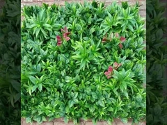 2025 Nouveau fournisseur d'herbe de mur Taishan