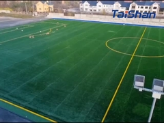 Gazon de football certifié FIFA