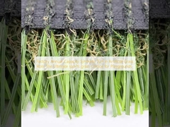 Capacité annuelle de l'usine Gazon synthétique en rouleaux d'herbe artificielle Le meilleur choix d'herbe sportive pour les terrains de jeux