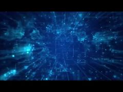 Présentation de la société de gazon artificiel Taishan